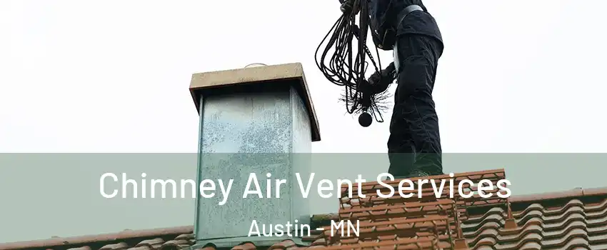  Chimney Air Vent Services Austin - MN