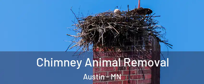Chimney Animal Removal Austin - MN
