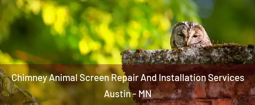  Chimney Animal Screen Repair And Installation Services Austin - MN