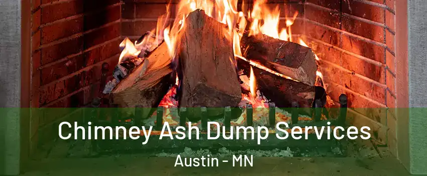  Chimney Ash Dump Services Austin - MN