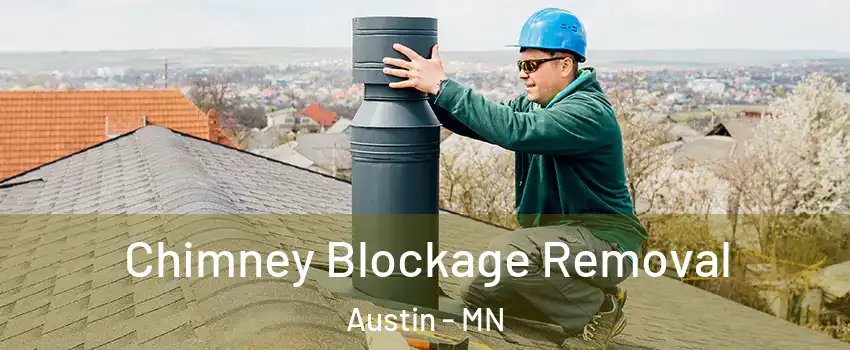  Chimney Blockage Removal Austin - MN