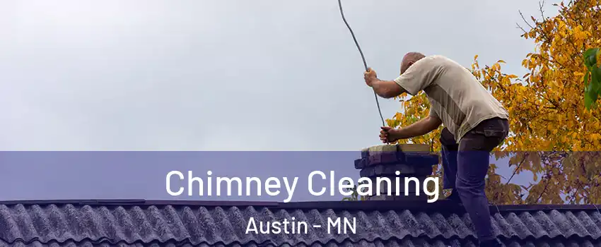  Chimney Cleaning Austin - MN
