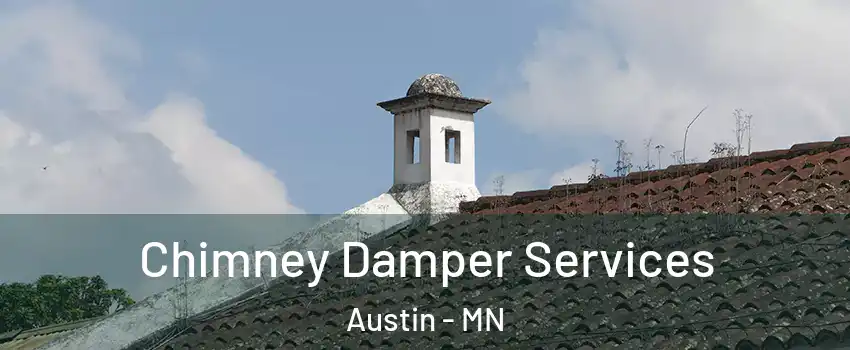  Chimney Damper Services Austin - MN