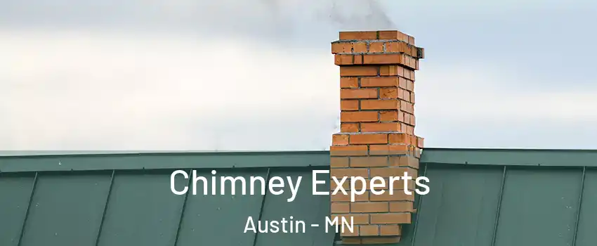  Chimney Experts Austin - MN