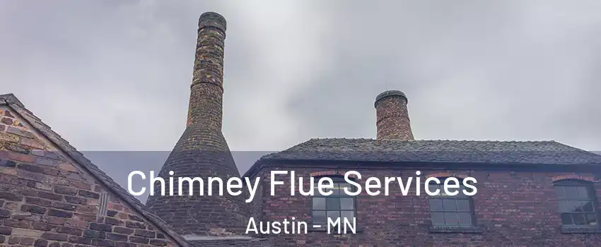  Chimney Flue Services Austin - MN
