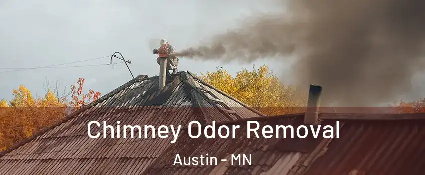  Chimney Odor Removal Austin - MN