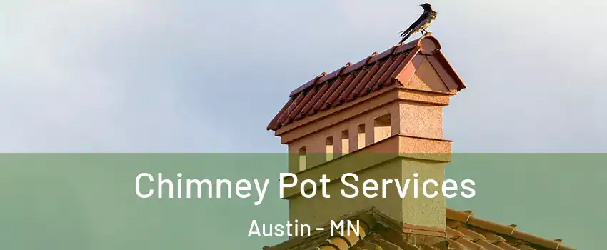  Chimney Pot Services Austin - MN