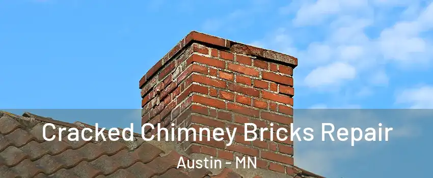  Cracked Chimney Bricks Repair Austin - MN