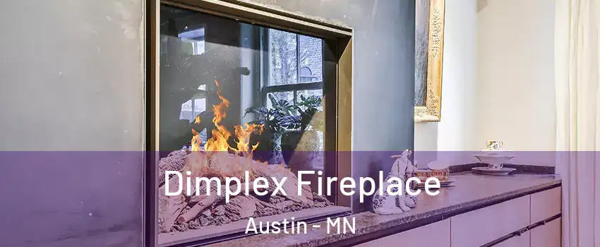  Dimplex Fireplace Austin - MN