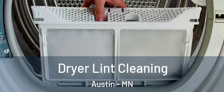  Dryer Lint Cleaning Austin - MN