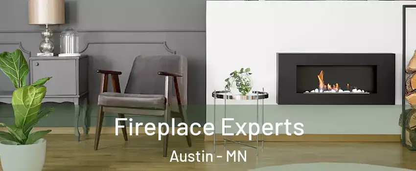  Fireplace Experts Austin - MN