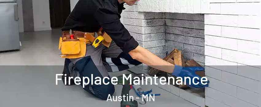  Fireplace Maintenance Austin - MN
