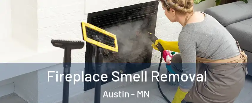  Fireplace Smell Removal Austin - MN