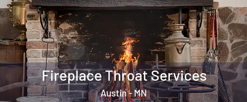  Fireplace Throat Services Austin - MN