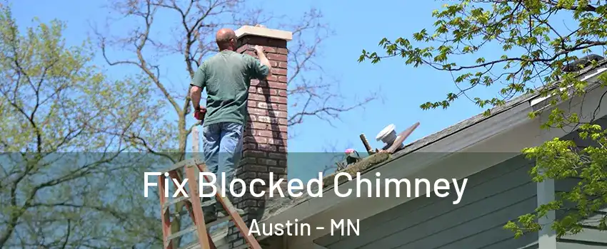  Fix Blocked Chimney Austin - MN