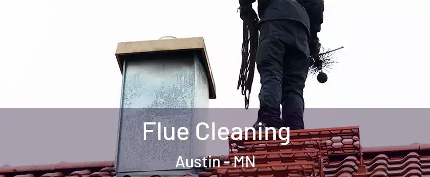  Flue Cleaning Austin - MN