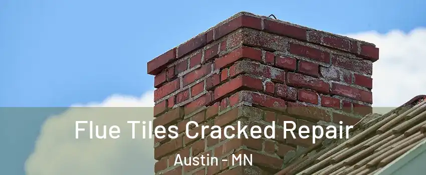  Flue Tiles Cracked Repair Austin - MN