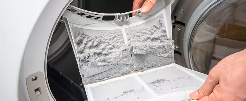 Best Dryer Lint Removal Company in Austin, Minnesota