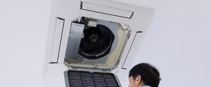 Benefits of Professional Air Duct Cleaning in Austin, Minnesota