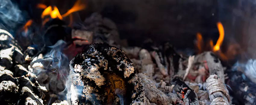 Creosote Removal Experts in Austin, MN