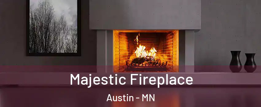  Majestic Fireplace Austin - MN