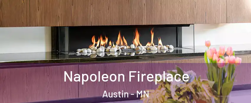  Napoleon Fireplace Austin - MN