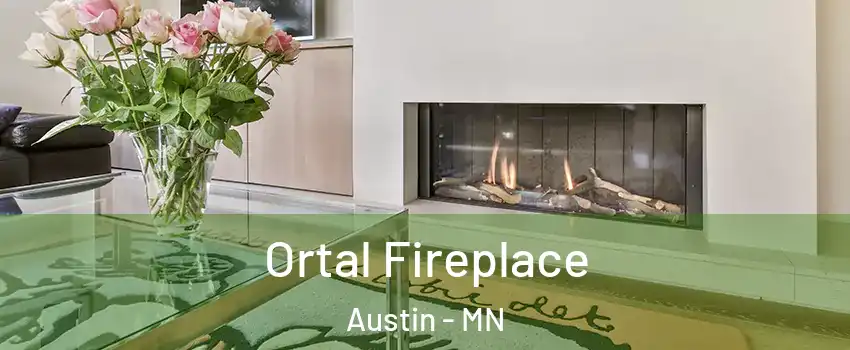  Ortal Fireplace Austin - MN
