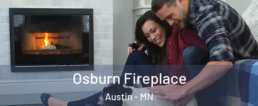  Osburn Fireplace Austin - MN